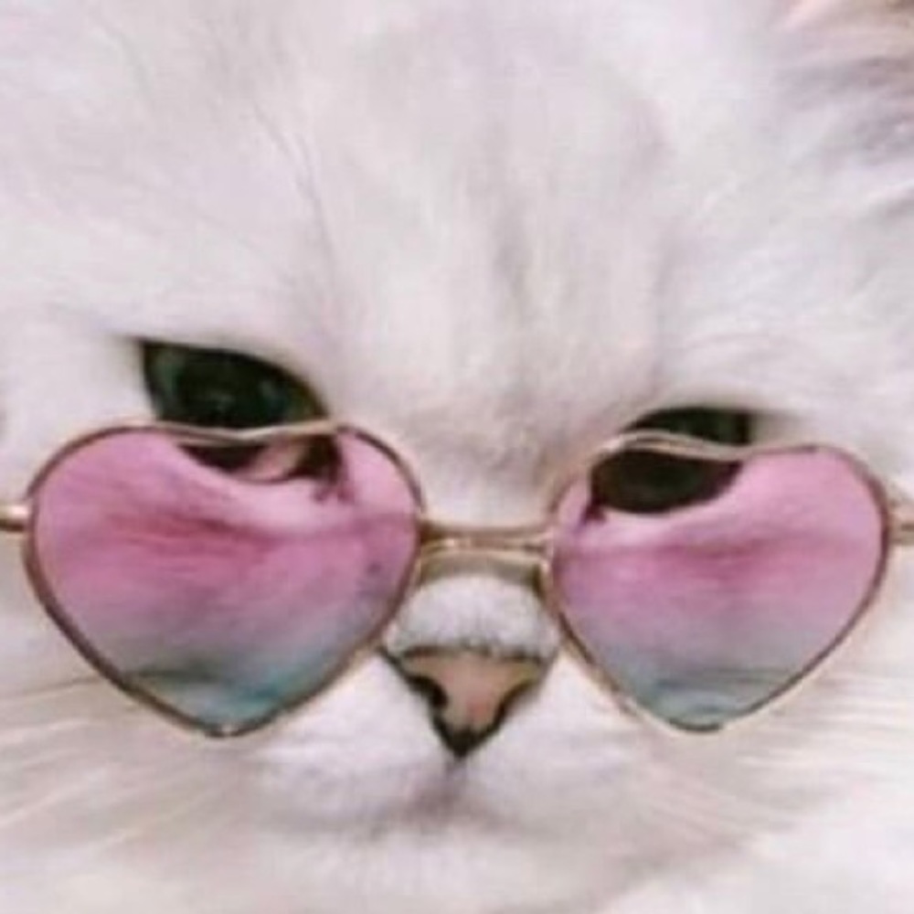 Meet your Posher, Penelope